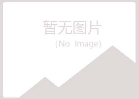 天门夏岚化学有限公司